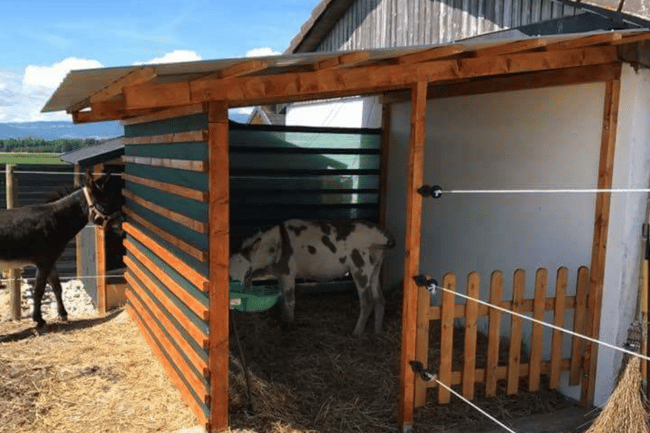 Création d'une cabane ventilée pour ânes