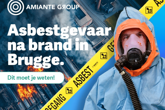Amiante Group-11