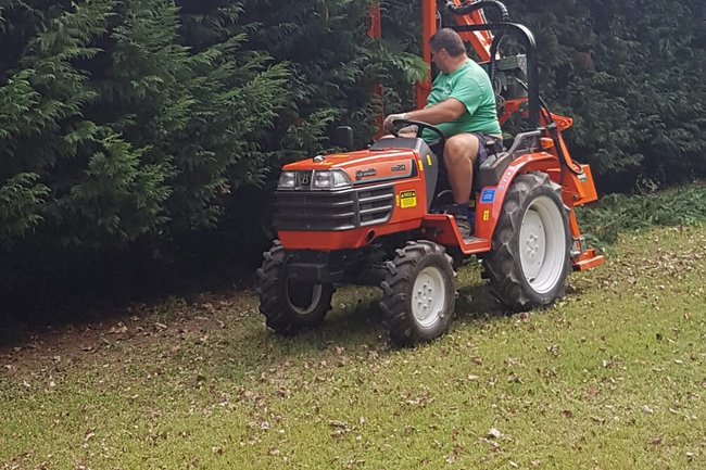 Foto del mio nuovo attrezzo per potare le Siepi Scappate