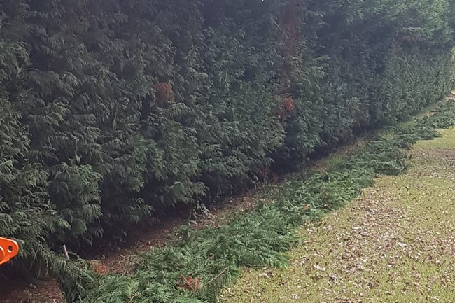 Foto del lavoro dopo 1 semplice passaggio con l'attrezzo.