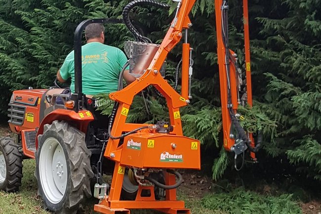 Foto del mezzo che lavora su una siepe scappata da 5 anni