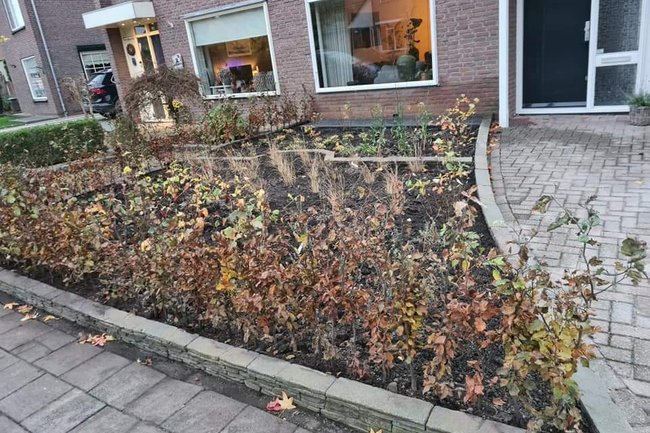 Beplanting voortuin