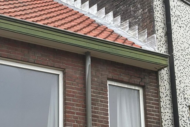 Allround klusbedrijf DMF-16