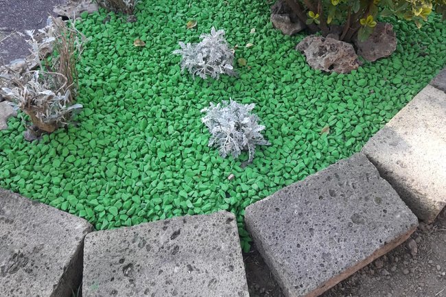 Realizzazione di un giardino moderno
