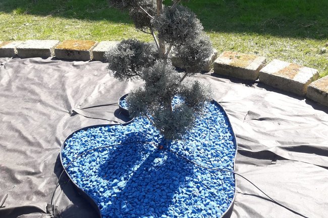 Realizzazione di un giardino moderno