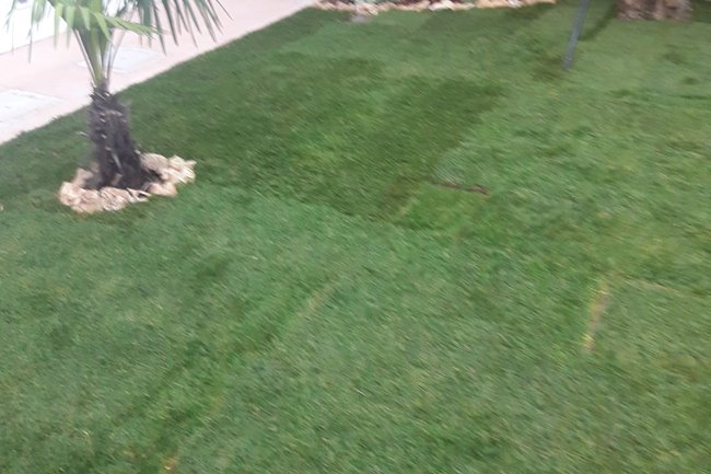 Posa del prato a rotoli