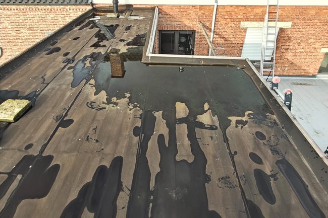 JVG CLEANING-1