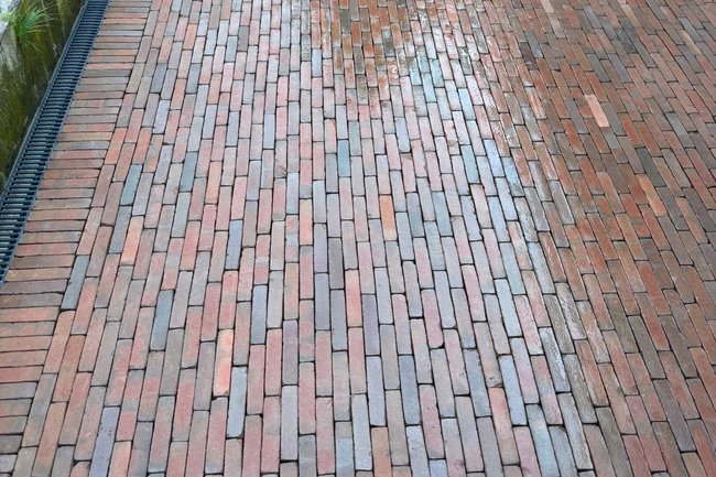 DVT tuinonderhoud-48