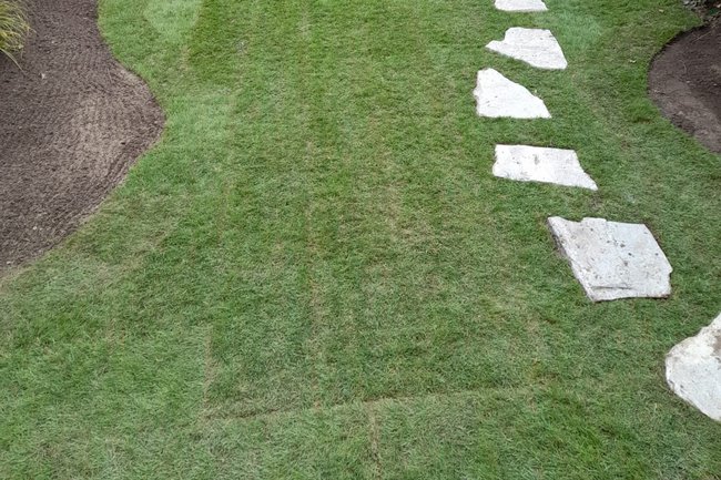 Gras en Tuin Quba-2