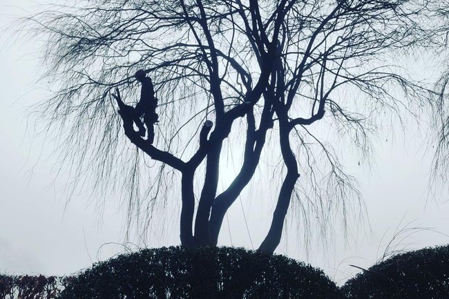Tree-care Hellemans B.V.-2