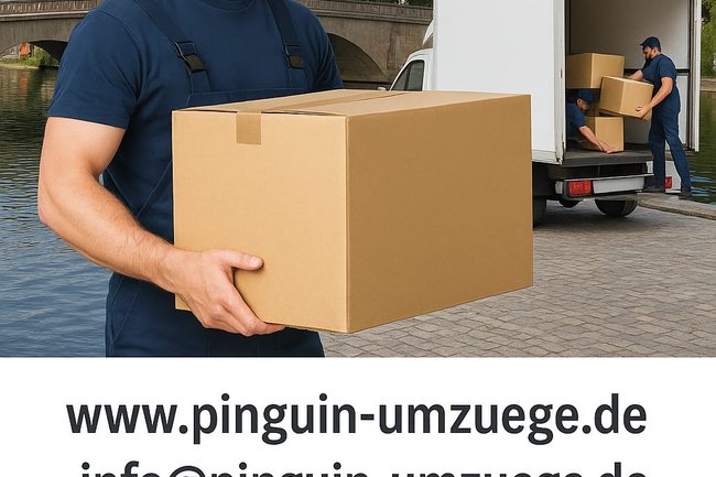 Pinguin Umzüge-3