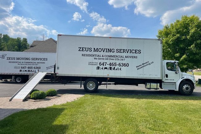 Zeus Moving-12