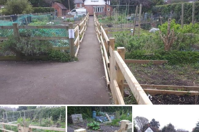 Allotment fencing