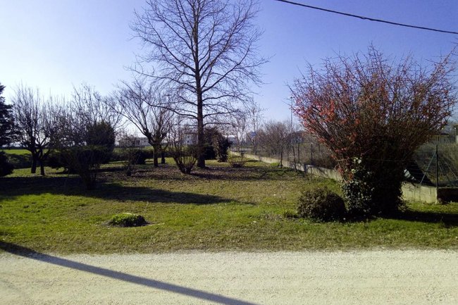 Foto di un Giardino di Bagnolo Po (RO) nel suo stato