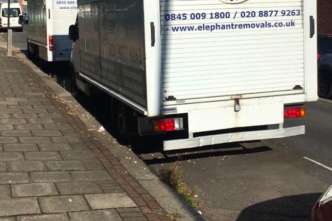 Elephant Removals ltd-5