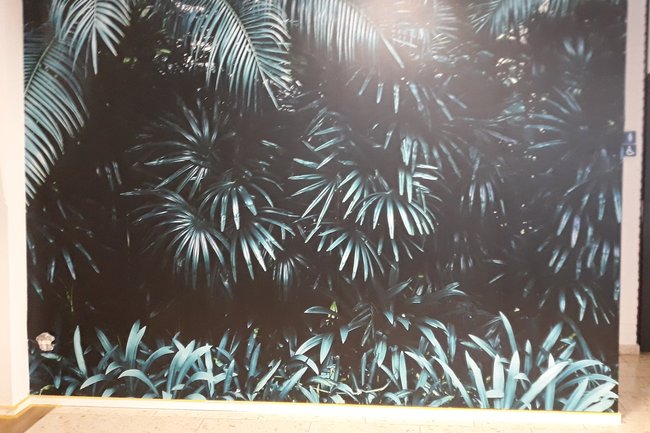 Wallpaper met print.