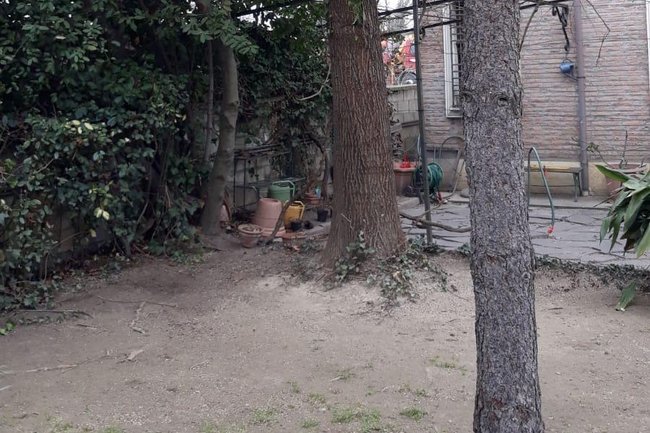 Quercia potata a fine lavori nel giardino privato