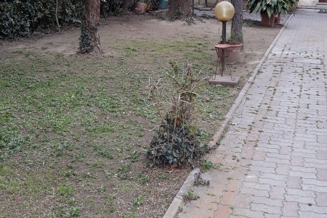 Ecco come si presenta il giardino a lavoro finito