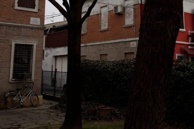 Quercia potata lato destro a fine lavori