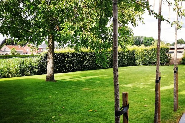 Graszoden eraf, opnieuw bezaaid en bemest.