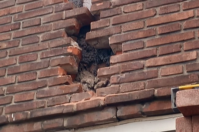 Scheur behandeling
