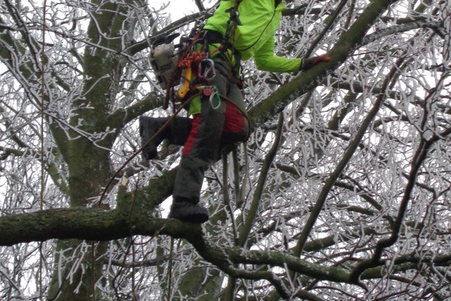 In weer en wind voor u in touw.