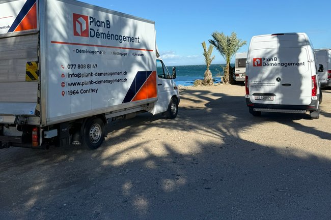 Plan B Déménagement-27