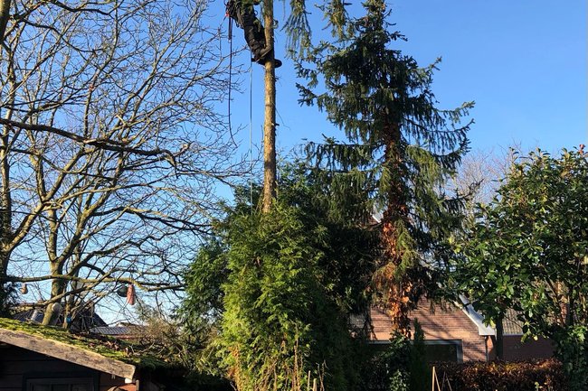 Ikwilvanmijnboompjeaf.nl-2