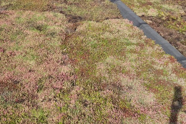 Eco daktechniek B.V.-5