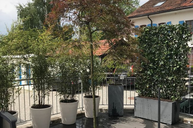 Création terrasse, ( Essertines-sur-Rolle, VD )