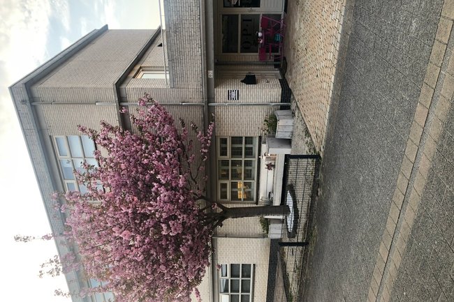 Tuinonderhoudsdeal-3