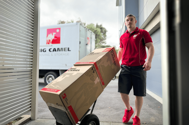 Big Camel Moving & Storage-5