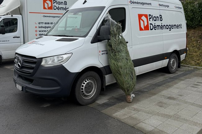 Plan B Déménagement-21