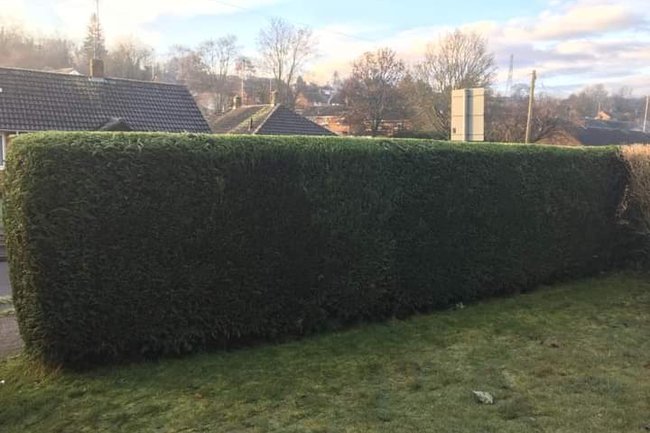 Davis & Sons Gardening & Landscaping Services-5