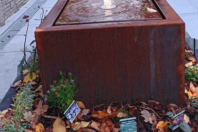 MA renovatie & schilderen-37