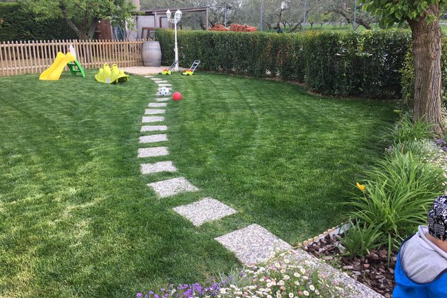 Realizzazione giardino e prato seminato