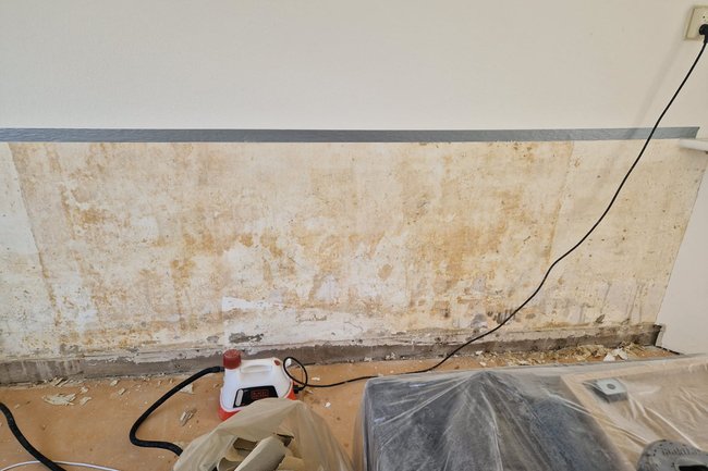Schimmelsanering na verwijderen behang in woonkamer.