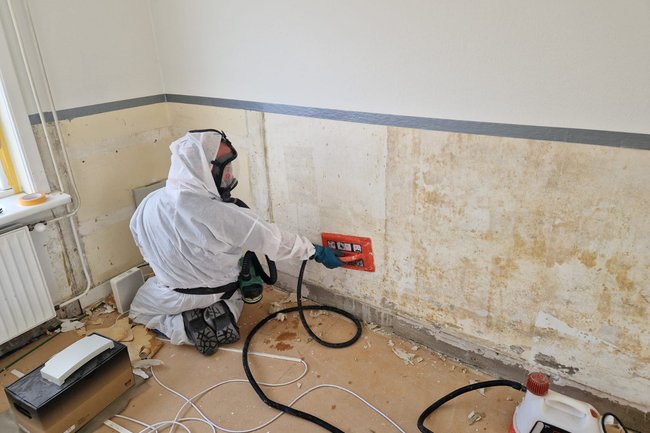 Schimmelsanering woonkamer