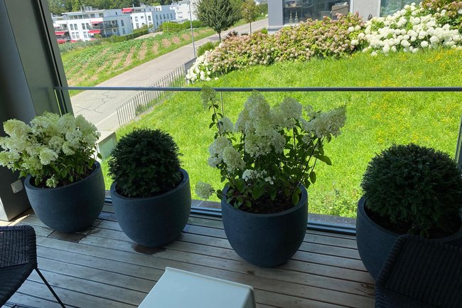 Bader Baum & Garten GmbH-5