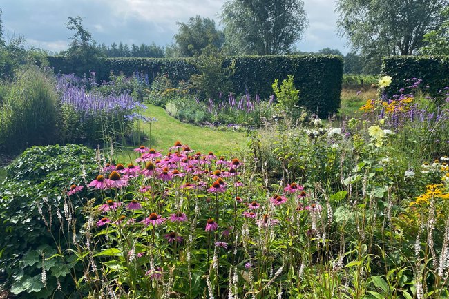 Robert Pul Tuinen-15