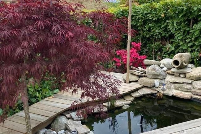 ACH JARDIN CHARTOIS-1