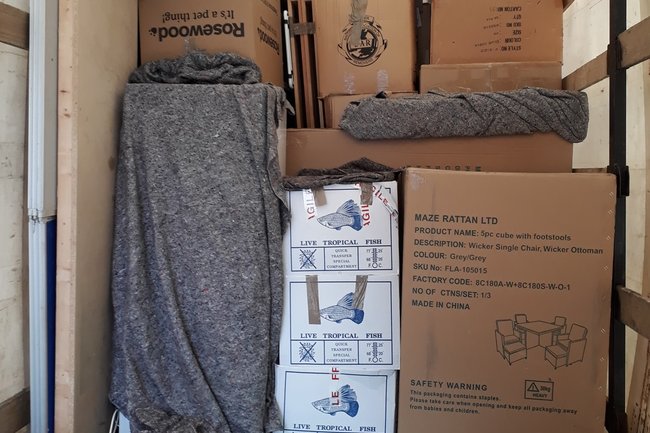 House move 

£50 / h assemble / dismantle included in price