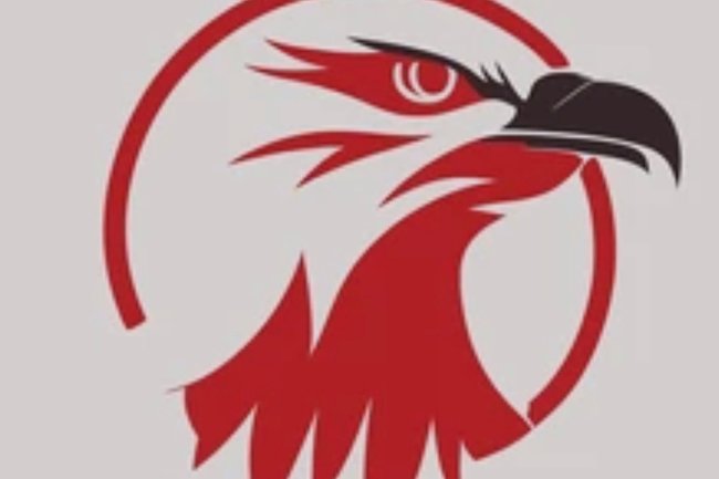 RED EAGLE LOGISTIC LTD-2