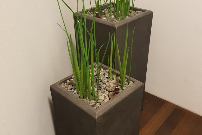 Création de bacs d'intérieur