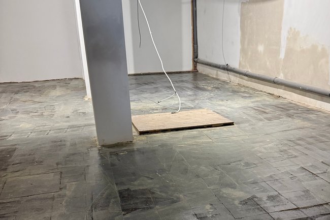 Van den Nieuwenhof Tapijt-5