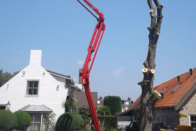 Veen Boomverzorging-5