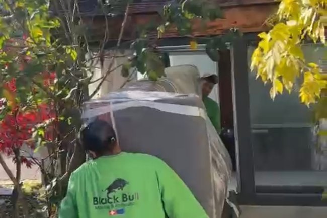 Black bull moving & relocation Sarl-11