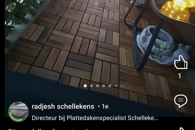 Plattedakenspecialist Schellekens-3