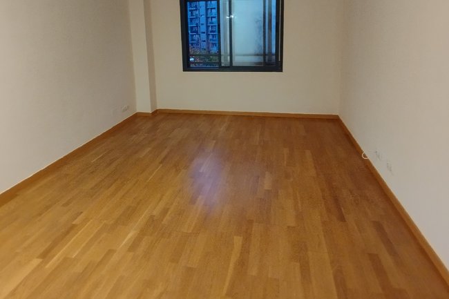 LUIZ PINTORES MADRID-2