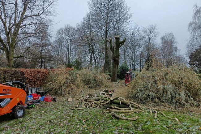 Stronkx Boomvellingen-1